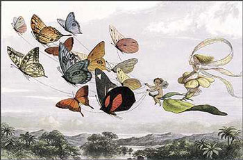 A flock of butterflies pulls a leaf sleigh through the air. A girl similar to Alice is riding and a pixie is holding the reins.